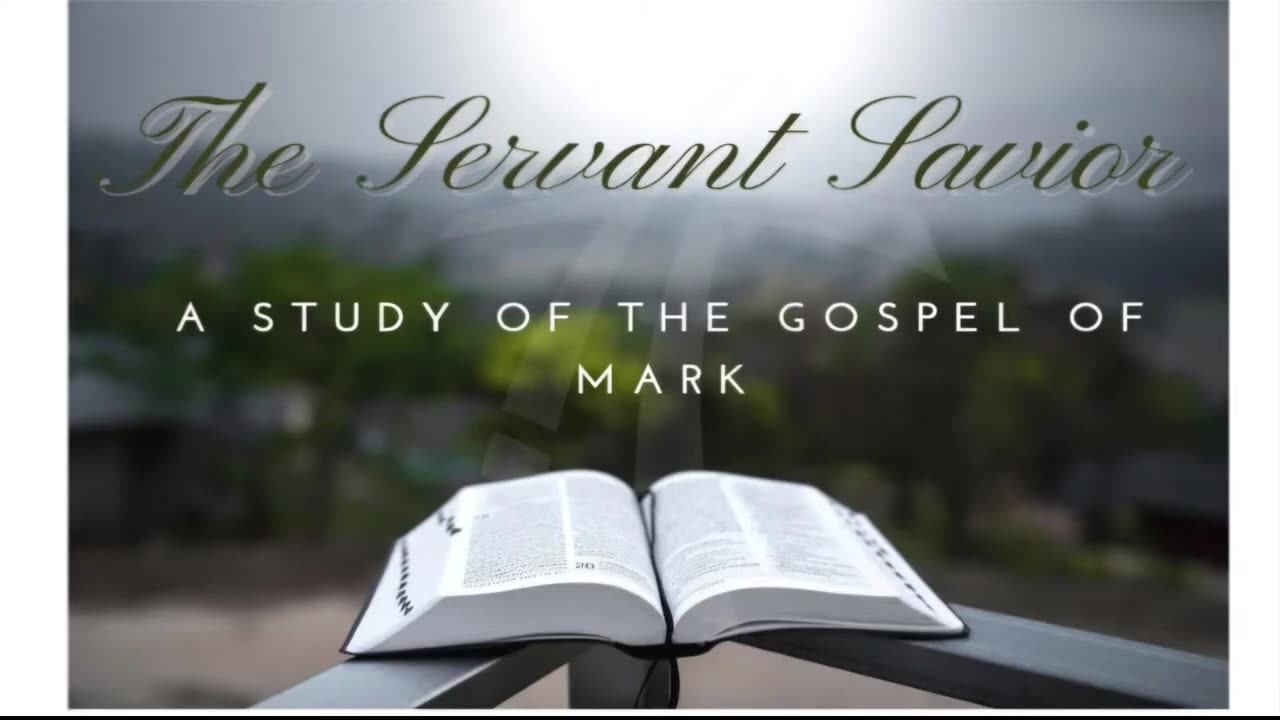 Getting the big picture, what is God doing in my life? Mark 8:1-21