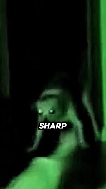 She Tried to Crawl Away #ParanormalFootage #Creepy #CaughtOnCamera #Unexplained