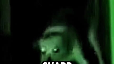 She Tried to Crawl Away #ParanormalFootage #Creepy #CaughtOnCamera #Unexplained