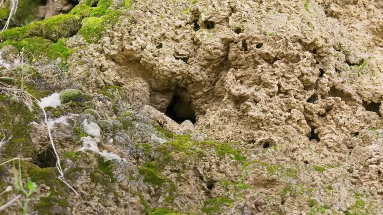😂🕷️ You Won't Believe This Spider Catch Attempt! | FunFM