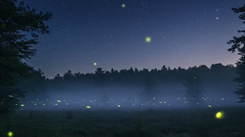 Whispers of Dusk - Deep Relaxation, Focus & Nature Soundscape