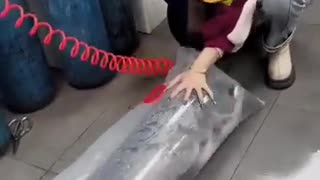 🤯🔧 Watch these Tools in Action! | FeedMyCuriosity