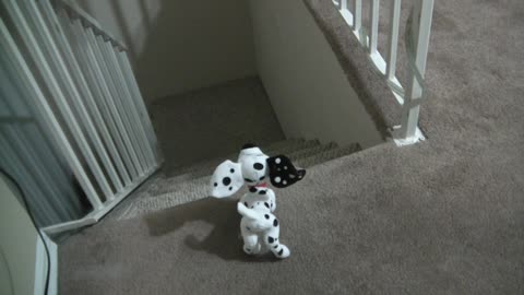 ‎June ‎27, ‎2019, ‏‎4:16:10 AM