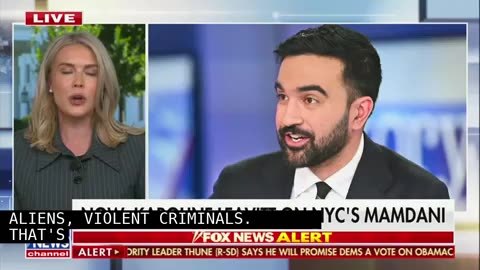 Hamas Terrorists, Illegal Aliens, and Violent Criminals’: Trump Spox Karoline Leavitt