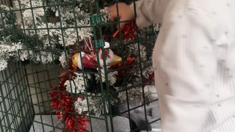 Fence Protects Christmas Tree From Curious Toddler