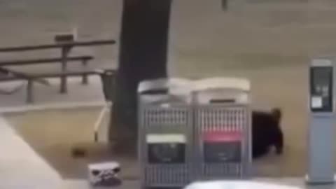 Berisha, neutralizimi i agresorit në Australi: Akt i shëmtuar terrorist…