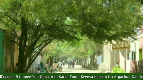 Qophii Addaa ONM-ABO Onkoloolessa 30-2025 itti dhiyaadhaa!