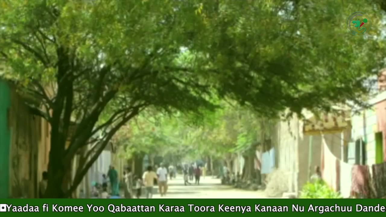 Qophii Addaa ONM-ABO Onkoloolessa 30-2025 itti dhiyaadhaa!