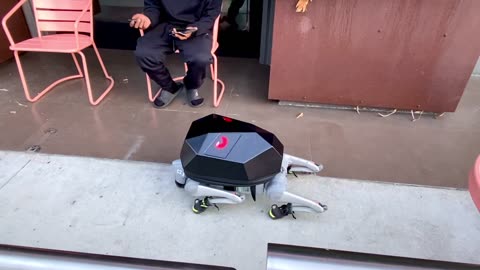 🤯🤖 Watch a Robot Dog Master Tricks! The Future of Robotics | FeedMyCuriosity