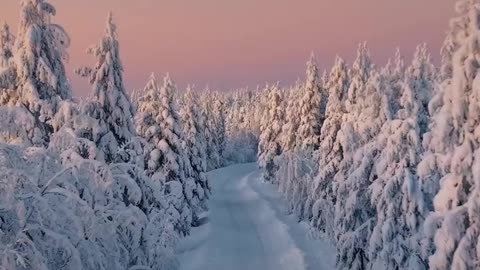 Who needs summer when winter looks so beautiful?