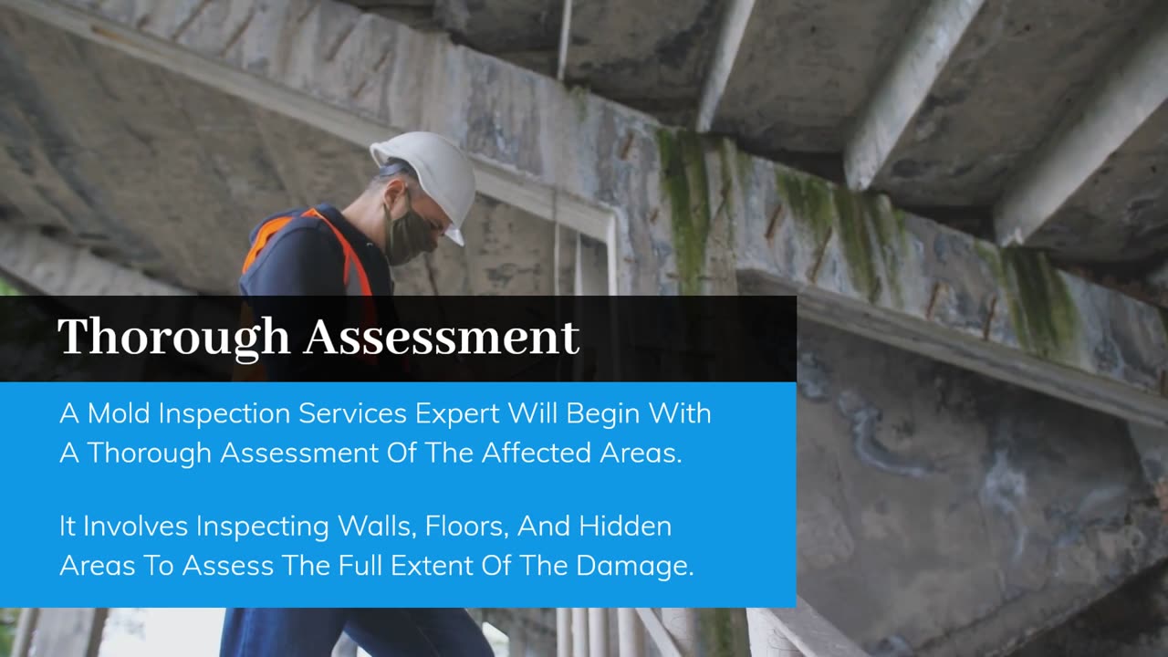 Mold Inspection Services