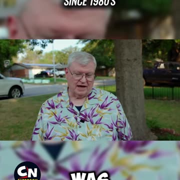 Decades of rare pulls and big hits! 🎴