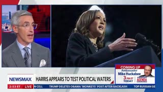 Ex-Dem Strategist Says There's Ironic Reason Potential 2028 Rivals In Party Not 'Attacking' Harris
