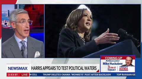 Ex-Dem Strategist Says There's Ironic Reason Potential 2028 Rivals In Party Not 'Attacking' Harris