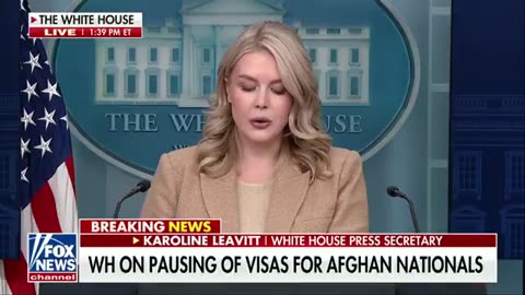 Walz is COMPLICIT. He should resign.