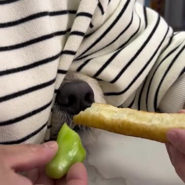 How Crypto scam Works 😂😂