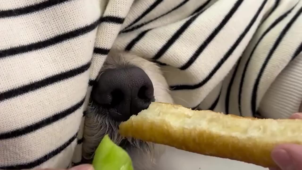 How Crypto scam Works 😂😂