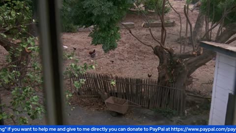 NCR's Creature Feature corner Friday the 13th Part V: A New Beginning