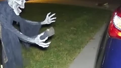 🦊💀 Fox Freaks Out Over Halloween Skeleton! 😱🎃