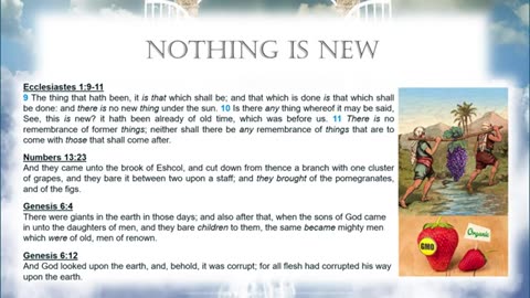Ai & End Times - 11th Hour Crusade Toowoomba - Dreaming of Heaven