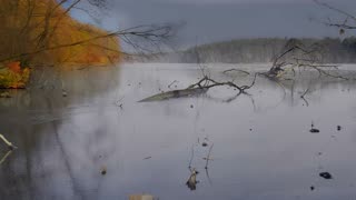 Sounds of a Frozen Lake in Late Autumn | 2H of Deeply Calming Winter Ambience