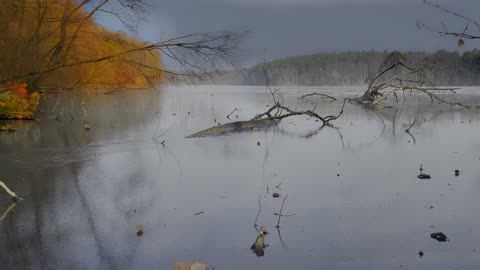 Sounds of a Frozen Lake in Late Autumn | 2H of Deeply Calming Winter Ambience
