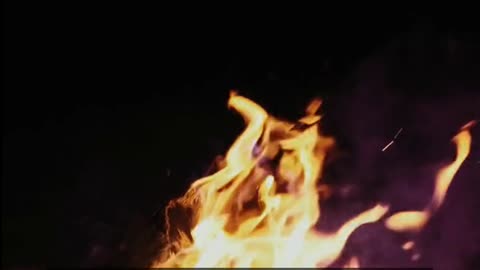 Daily Horoscope | Aries 🌟