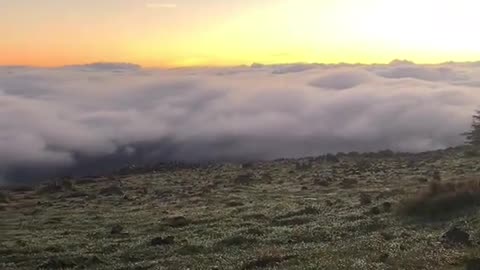 Mashallah Subahanallah ♥️✨