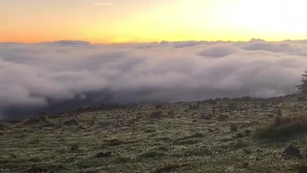 Mashallah Subahanallah ♥️✨