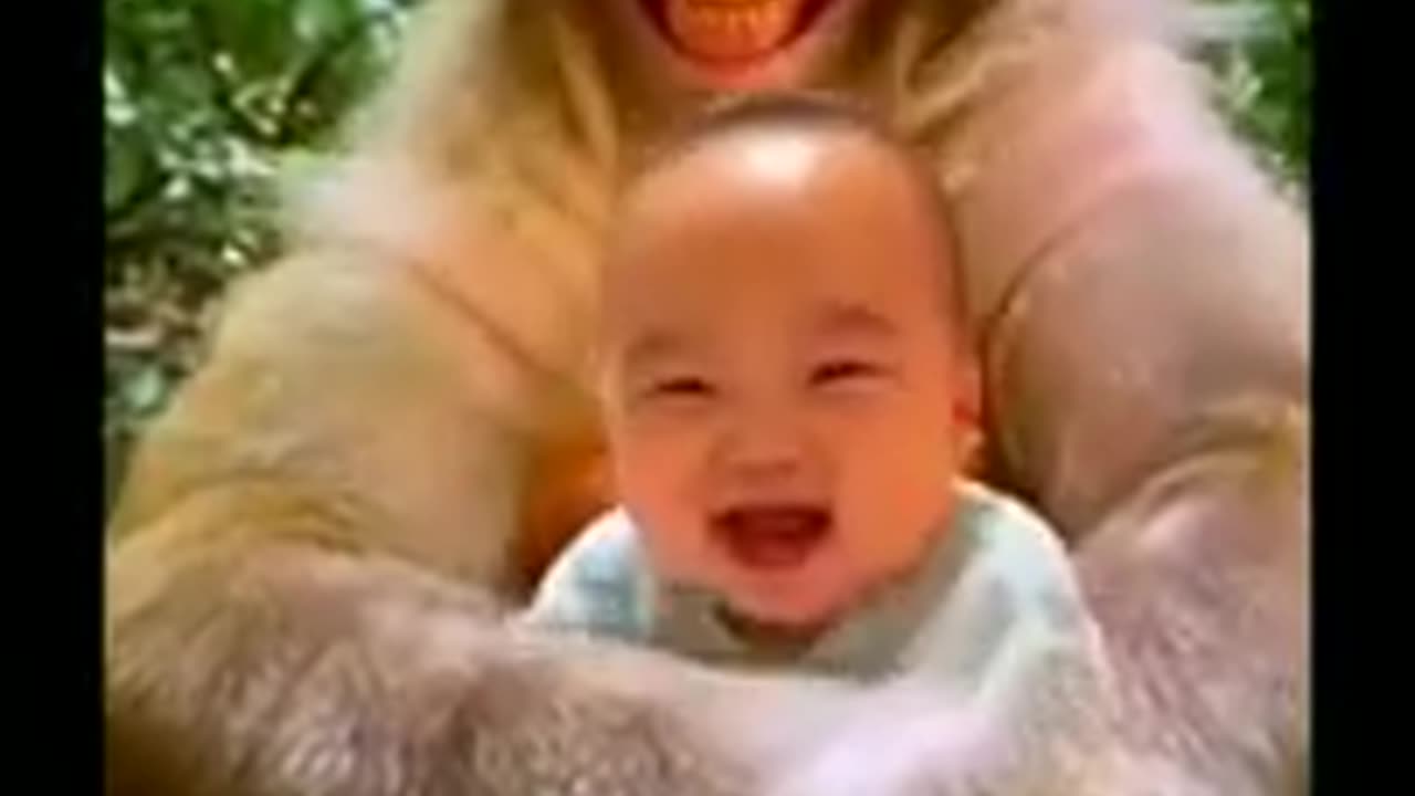 Cute Baby and Monkeys Good Smiled Videos 2022