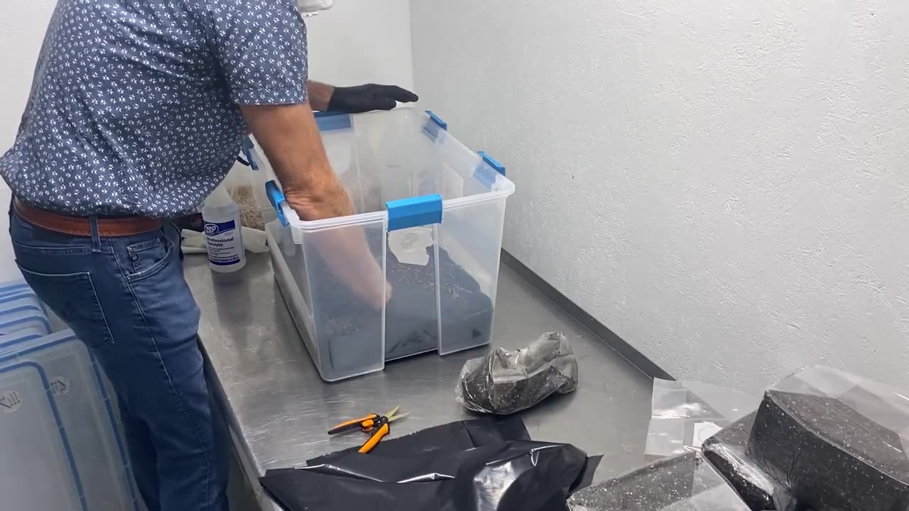 DIY Mushroom Grow Totes from Scratch | Hobby Setup with Andreas from Satya Therapeutics