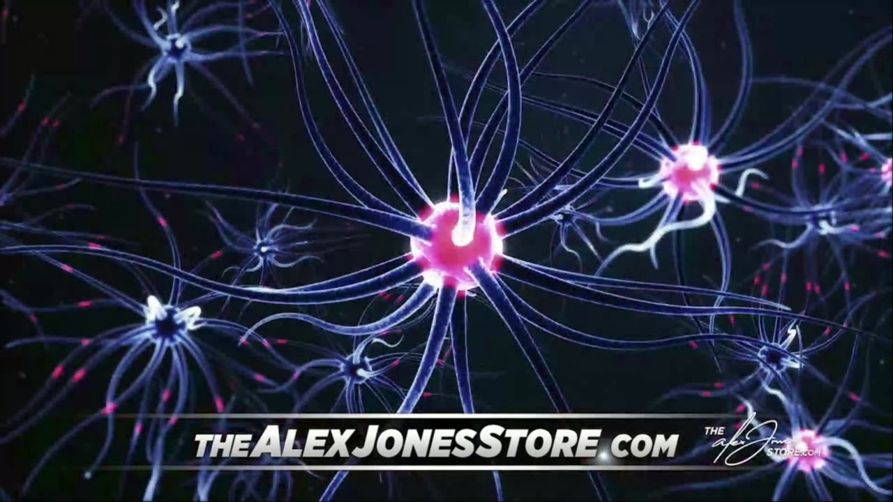 INFOWARS LIVE - 12/10/25: The American Journal with Breanna Morello / The Alex Jones Show / The War Room With Harrison Smith