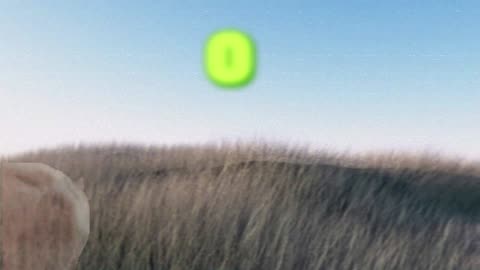 zero
