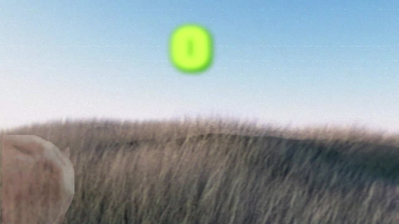 zero