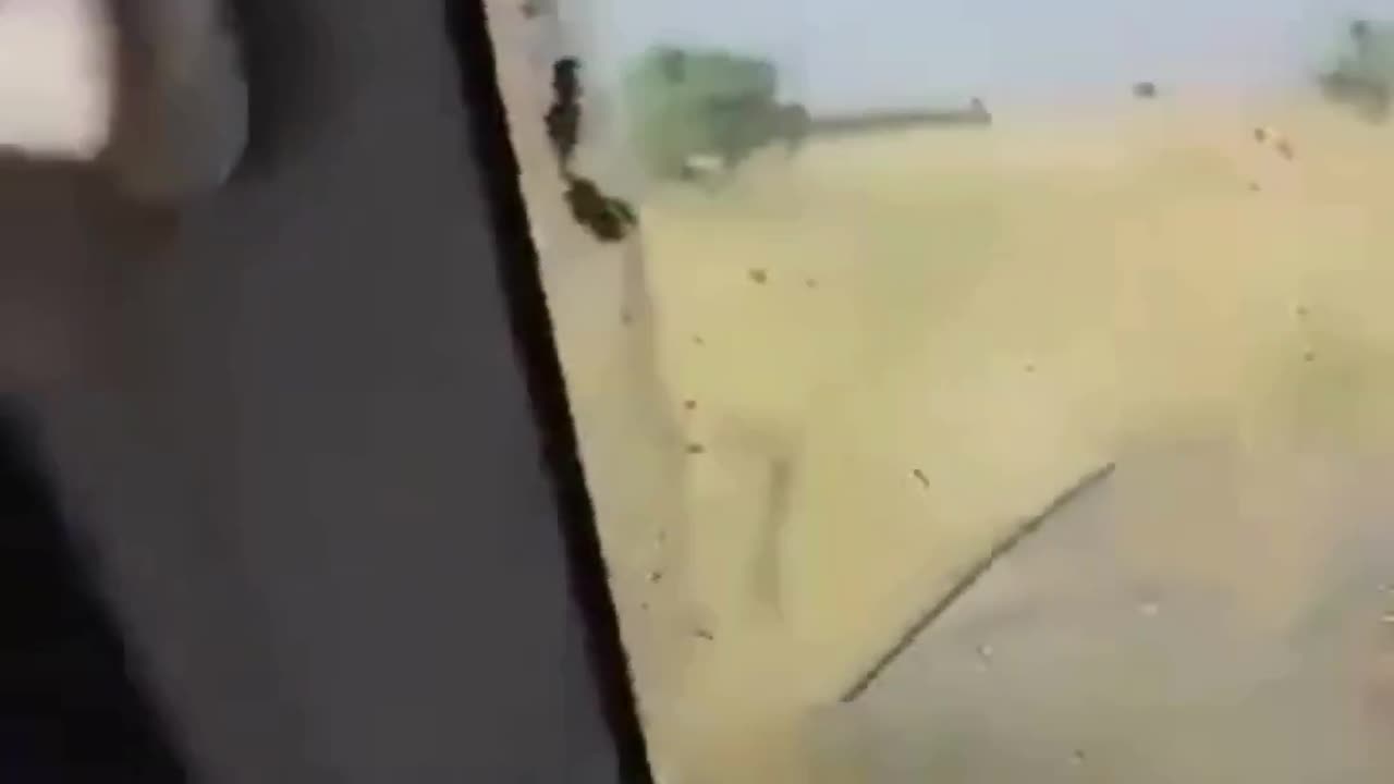 Genocide Brought to You by the UAE: