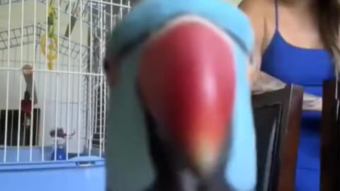 It is better than many tiktokers! 😂😂