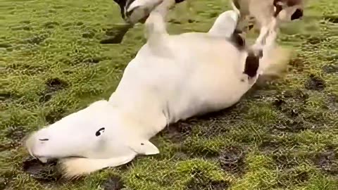 A true friend steps in to help without hesitation when you’re in trouble