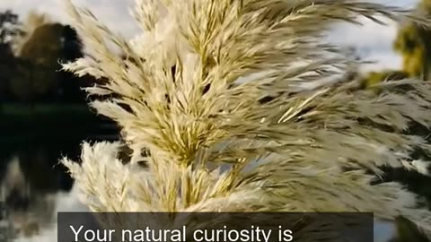 Daily Horoscope | Gemini 🌟