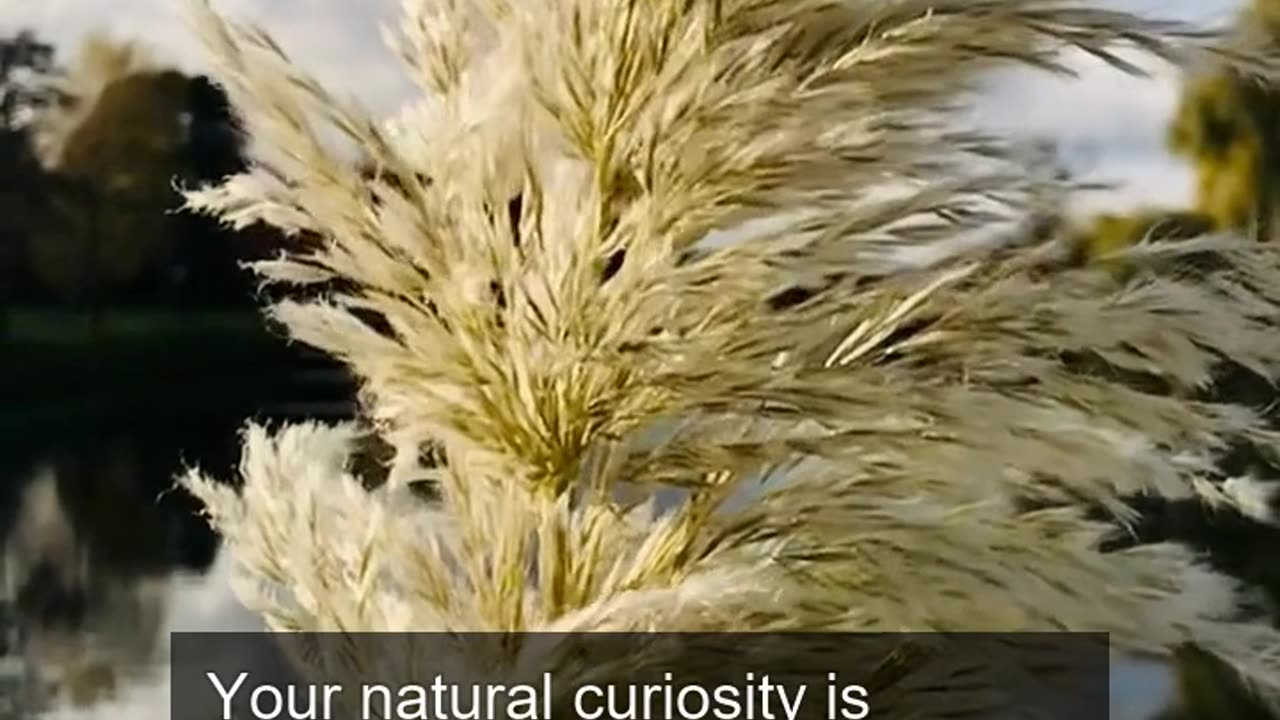 Daily Horoscope | Gemini 🌟