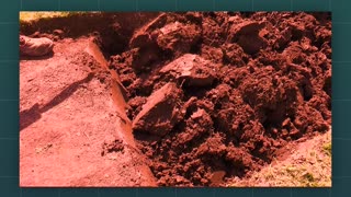 What the First Hebrew Word for "Man" Actually Reveals