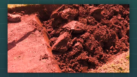 What the First Hebrew Word for "Man" Actually Reveals