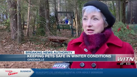 Greenville City Councilwoman highlights the need for better animal protection laws