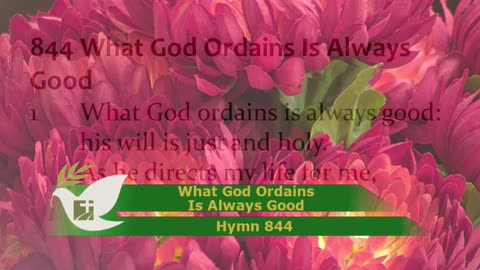 Worship From Mt. Olive Ev. Lutheran Church