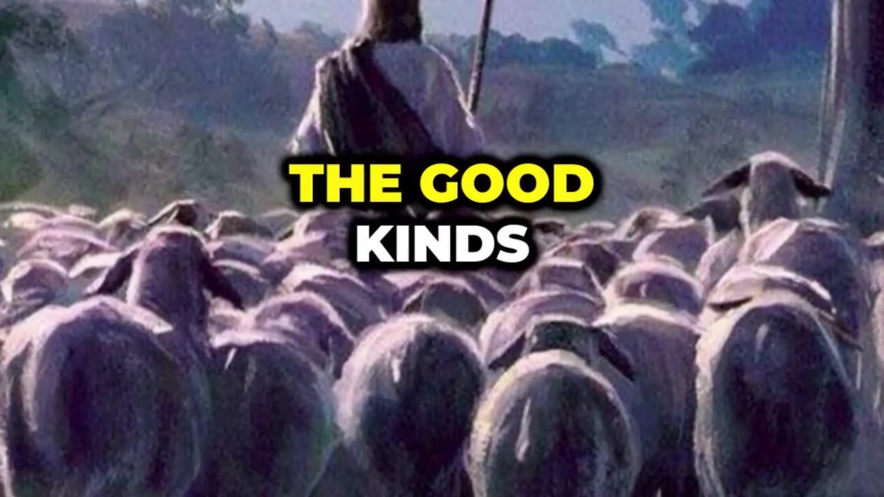 When Christ Return What Happens? - Revelation Explained Chapter .14