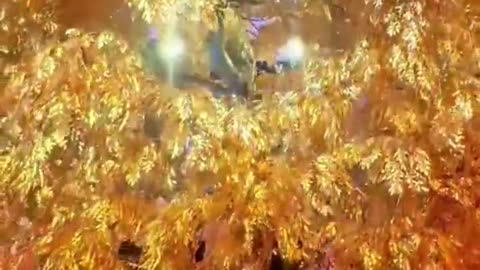 98,000 Leaves of 24K Gold… INSANE 🤯✨