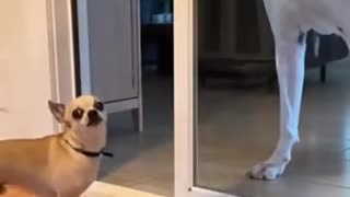 😂🤦♂️ When Karma Hits Hard! Epic Regret | FunFM