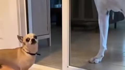 😂🤦‍♂️ When Karma Hits Hard! Epic Regret | FunFM