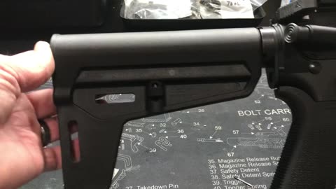 Palmetto State Armory Sabre 10.5