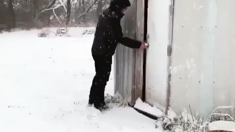 please enjoy these ducks changing their minds..🦆🥰