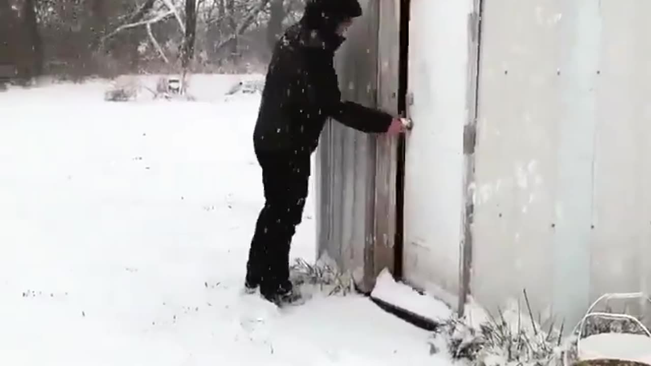 please enjoy these ducks changing their minds..🦆🥰